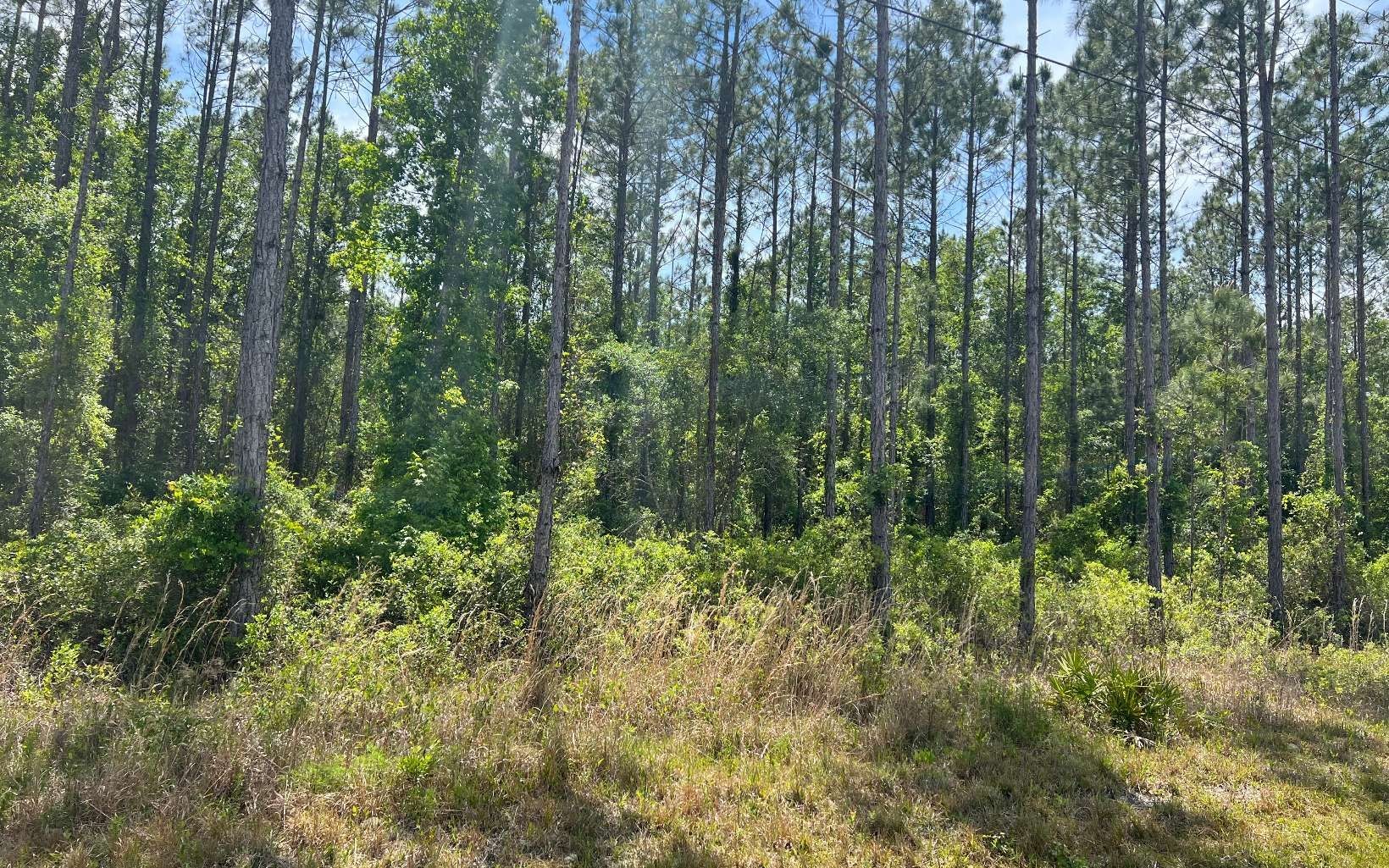 Looking for Land?